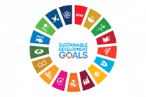 UN Sustainable Goals